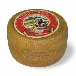 QUESO OVEJA MOLITERNO...