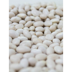 ALUBIA MICHIGAN NACIONAL 1KG