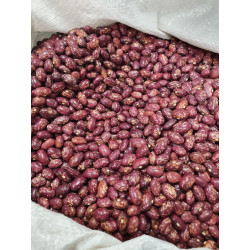 ALUBIA TOLOSANA NACIONAL 1KG