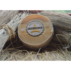 QUESO  CREMOSUCO A LA...