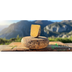 QUESO ALPASTO CUÑA 300G