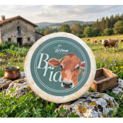 Queso Bria Artesano El...