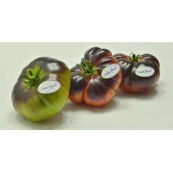 TOMATE MAR AZUL