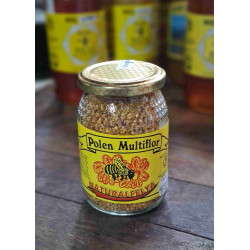 POLEN MULTIFLORAL FELYA 450GR